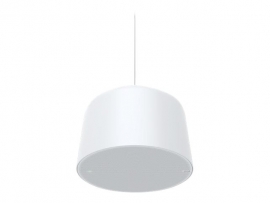 AXIS C1510 NETWORK PENDANT SPEAKER - LARGE 