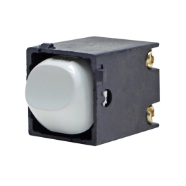 4C | Intermediate Mechanism 250V 10A 040.000.0257