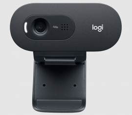 Logitech C505e webcam 1280 x 720 pixels USB Black 960-001370