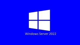 Microsoft Server Standard 2022 - 5 User CAL Pack OEM, Use with SMS-WINSVR22DVD R18-06466