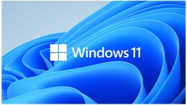 Microsoft Windows 11 Professional for Workstation 64 BIT - By Order NEW HZV-00101