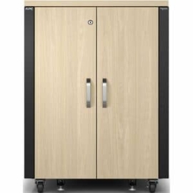 APC NetShelter Soundproof, 17U, Server Rack Enclosure, 230V, Maple AR4018IA