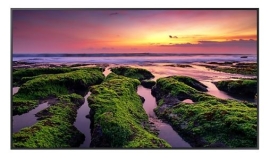 Samsung 55' Premium commercial Display QB Series 4K Ultra HD LCD 350nit Tizen4.0 WiFi BT Speaker Protrait/Landscape 16/7