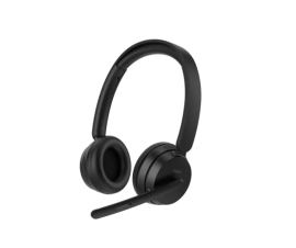 RAPOO H200 Wireless Stereo Headset H200-BK