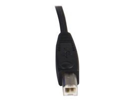 Startech 1.8M 2-In-1 USB Kvm Cable - USB VGA Kvm Cable, Ltw SVUSB2N1_6