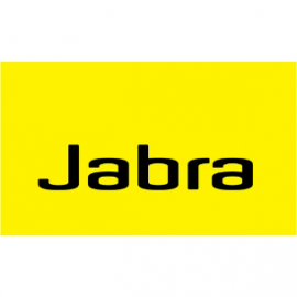 JABRA EVOLVE 20 UC MONO SE USB-C 4993-829-489