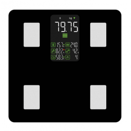 HALO Bluetooth Smart Display Body Scale HO-239845
