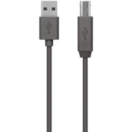 Belkin 1.80 M USB Data Transfer Cable - First End: USB 2.0 Type A - Second End: USB Type B F3U154BT1.8M