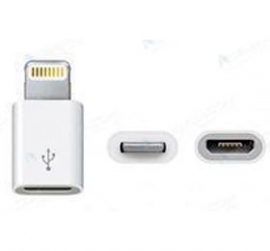 Amaze Apple 8 Pin Lightning To Micro Usb Adapter (iphone 5/ Itouch 5/ Ipod Nano 7/ Ipad Mini/ Ipad), White Colour