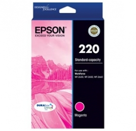 Epson T293392 Std Capacity Durabrite Ultra Magenta Ink (epson Workforce Wf-2630, Wf-2650, Wf-2660)