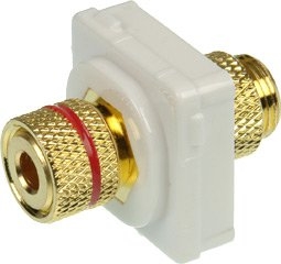 4cabling Banana Plug To Binding Post Red (white Bezel) 05bc5r
