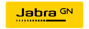 Jabra (23089-889-879) Evolve2 30 USB-C, UC Mono