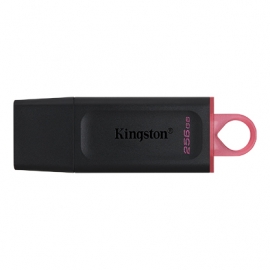 Kingston 256GB DataTraveler Exodia USB 3.2 Gen 1 (DTX/256GB)