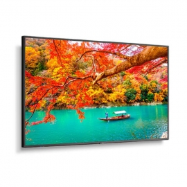 NEC MA551 49"; Wide Color Gamut 4K UHD Professional Display/ 3840x2160 / 500 cd/m2 (MA491)