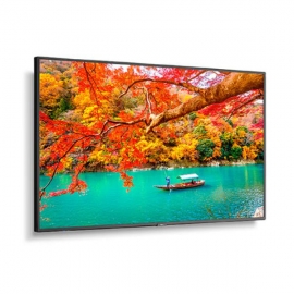 NEC MA551 55"; Wide Color Gamut 4K UHD Professional Display/ 3840x2160 / 500 cd/m2 (MA551)