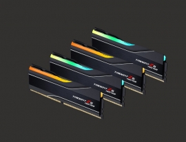 G.SKILL F5-6000J3644D64GX4-TZ5NR 256G (4 x 64GB)/ DDR5 6000 MT/s/ Timings 36-44-44-96/ Voltage 1.25 V/ TZ5 Neo RGB/ EXPO F5-6000J3644D64GX4-TZ5NR