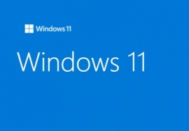 Microsoft WINDOWS 11 HOME FPP 64-bit English USB HAJ-00090